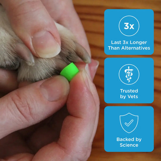 Pyrella's ToeGrips® for Dogs