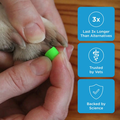 Pyrella's ToeGrips® for Dogs