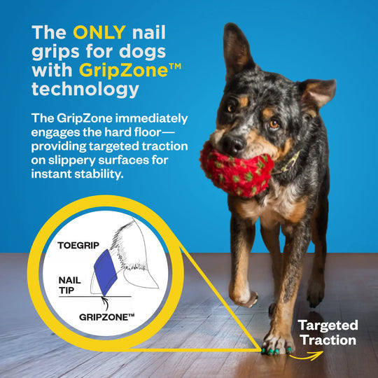 Pyrella's ToeGrips® for Dogs