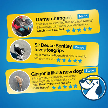 Pyrella's ToeGrips® for Dogs