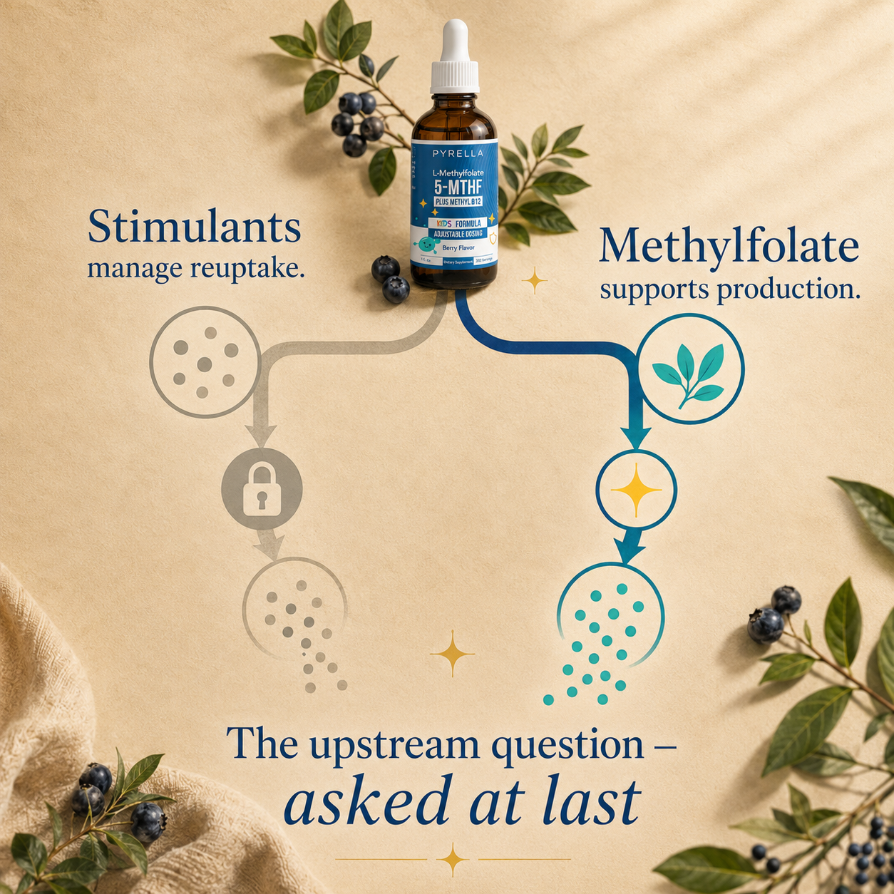 Reuptake and upstream nutrient support