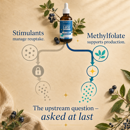 Reuptake and upstream nutrient support